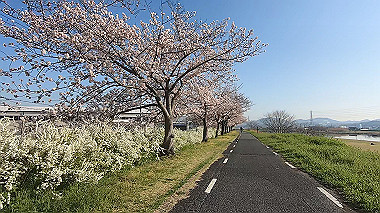 gx015919.mp4_snapshot_00.48_thumb.jpg