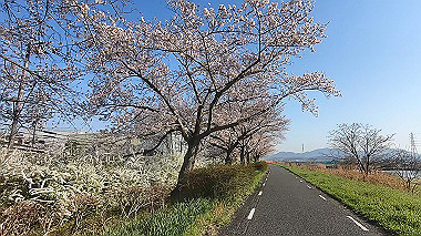 gx015919.mp4_snapshot_01.09_thumb.jpg