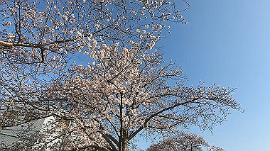 gx015919.mp4_snapshot_01.14_thumb.jpg