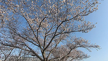 gx015919.mp4_snapshot_01.20_thumb.jpg