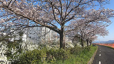 gx015919.mp4_snapshot_01.25_thumb.jpg