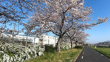 gx015919.mp4_snapshot_01.56_thumb.jpg
