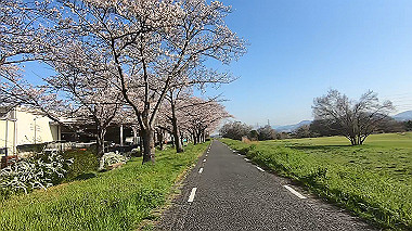gx015920.mp4_snapshot_00.00_thumb.jpg