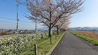 gx015922.mp4_snapshot_00.05_thumb.jpg