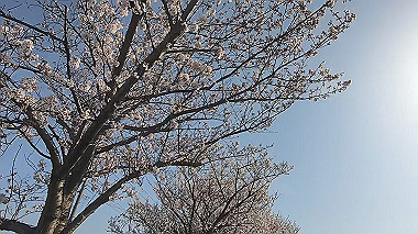 gx015922.mp4_snapshot_00.13_thumb.jpg