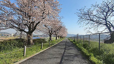 gx015922.mp4_snapshot_00.32_thumb.jpg