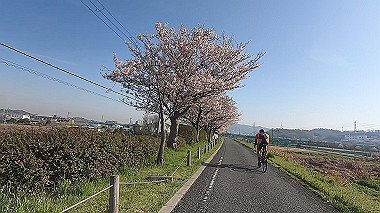 gx015922.mp4_snapshot_00.59_thumb.jpg