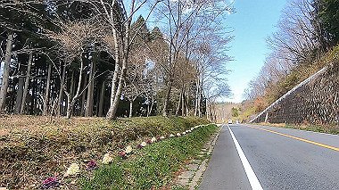 gx015930.mp4_snapshot_02.18_thumb.jpg