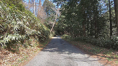 gx015935.mp4_snapshot_04.28_thumb.jpg