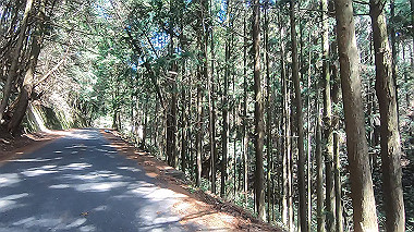 gx015935.mp4_snapshot_05.53_thumb.jpg