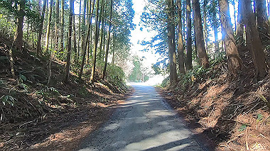 gx015936.mp4_snapshot_01.12_thumb.jpg