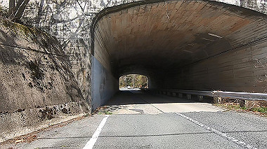 gx015937.mp4_snapshot_02.55_thumb.jpg