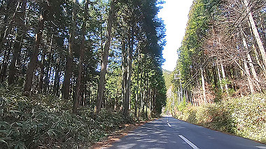 gx015939.mp4_snapshot_02.06_thumb.jpg