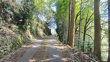 gx015941.mp4_snapshot_02.53_thumb.jpg