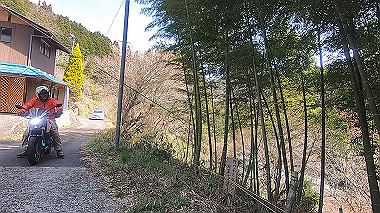 gx015941.mp4_snapshot_04.33_thumb.jpg