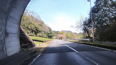 gx015943.mp4_snapshot_00.35_thumb.jpg