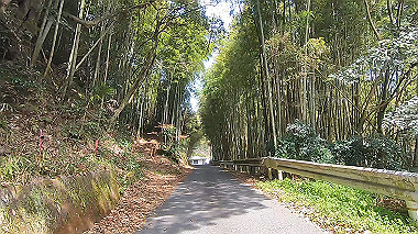 gx015947.mp4_snapshot_00.13_thumb.jpg