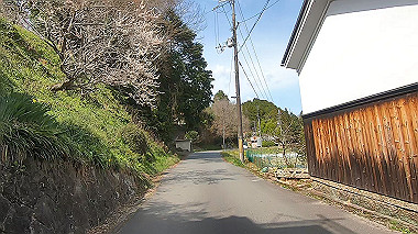 gx015947.mp4_snapshot_02.06_thumb.jpg