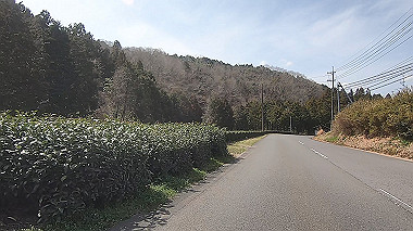 gx015949.mp4_snapshot_00.30_thumb.jpg