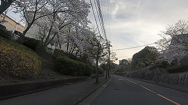 gx015967.mp4_snapshot_00.02_thumb.jpg