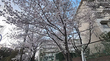 gx015967.mp4_snapshot_02.17_thumb.jpg