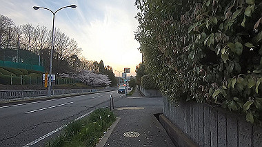 gx015968.mp4_snapshot_00.44_thumb.jpg
