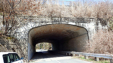 p3300032_thumb.jpg