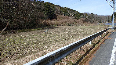 p3300035_thumb.jpg