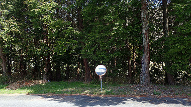 p3300045_thumb.jpg