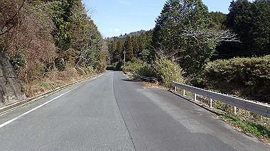 p3300048_thumb.jpg