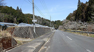 p3300051_thumb.jpg