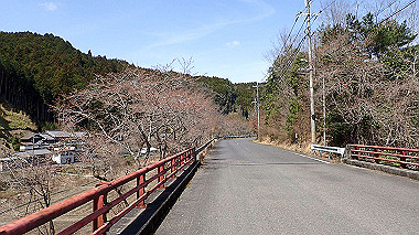 p3300057_thumb.jpg