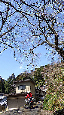 p3300063_thumb.jpg