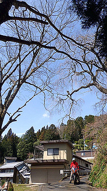 p3300065_thumb.jpg