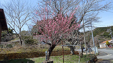 p3300070_thumb.jpg