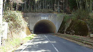 p3300080_thumb.jpg