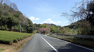 p3300084_thumb.jpg