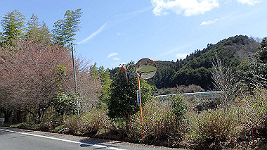 p3300086_thumb.jpg