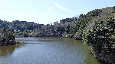 p3300089_thumb.jpg