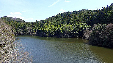 p3300091_thumb.jpg