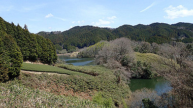 p3300097_thumb.jpg