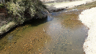 p3300124_thumb.jpg