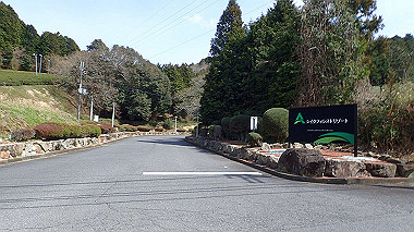 p3300133_thumb.jpg
