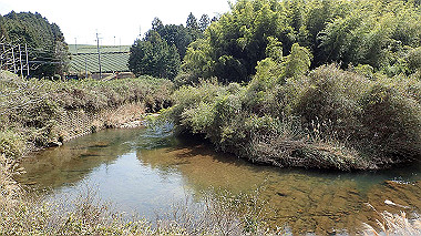 p3300135_thumb.jpg