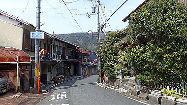 p3300138_thumb.jpg