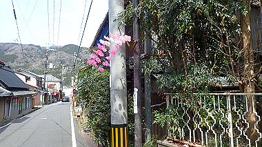 p3300139_thumb.jpg