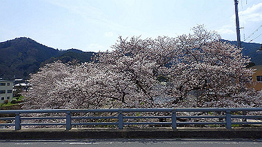 p3300150_thumb.jpg