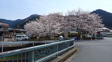p3300155_thumb.jpg