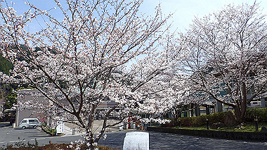 p3300160_thumb.jpg