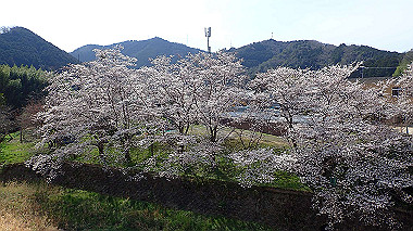p3300165_thumb.jpg